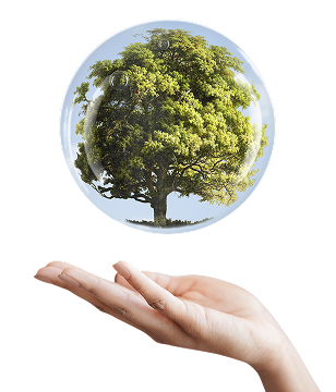 Environmental Awareness